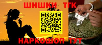амф Кингисепп