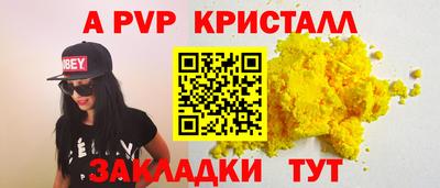 амф Кингисепп