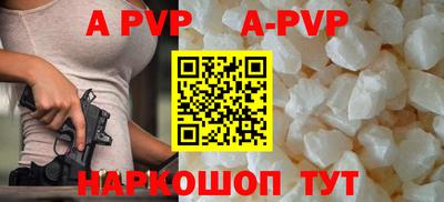 амф Кингисепп