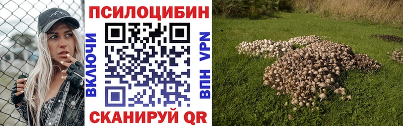 Псилоцибиновые грибы прущие грибы  где найти   Чапаевск 
