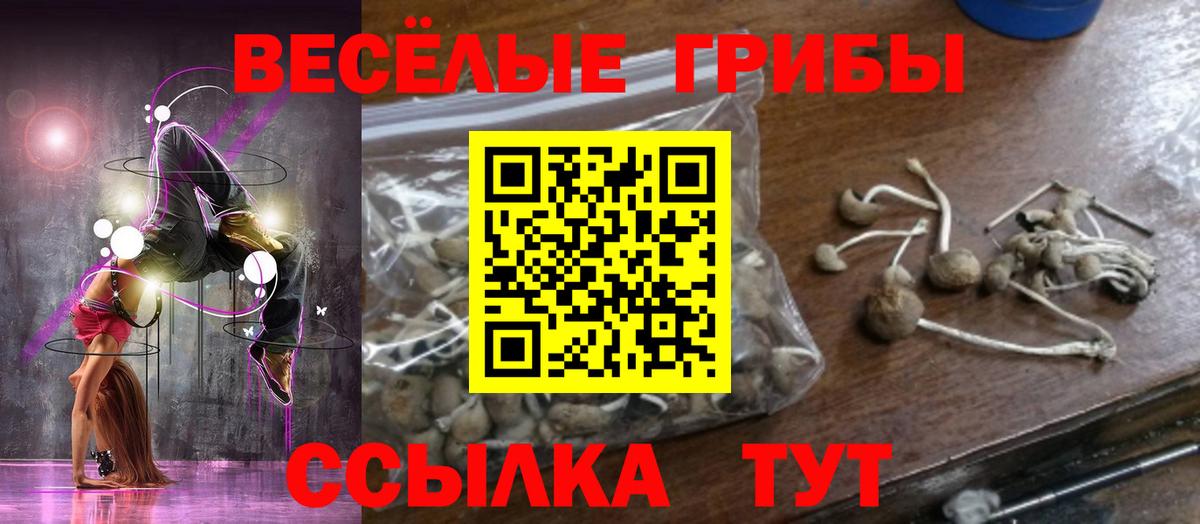 Псилоцибиновые грибы MAGIC MUSHROOMS Чапаевск